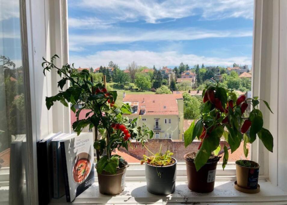 Big, Bright Apartment In The Center Of Zagabria Esterno foto