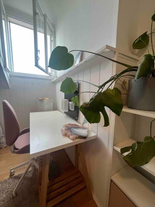 Big, Bright Apartment In The Center Of Zagabria Esterno foto